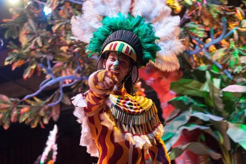 Saving Money on a Carnivals